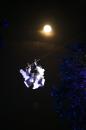 place des anges 15 * 4368 x 2912 * (5.46MB)